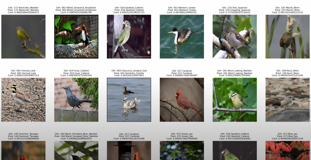 How to Train an Image Classification Model with DINOv3 on a Custom Dataset